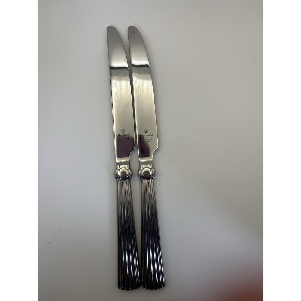 Waterford Carleton Stainless Dinner Knives Set of 2 18/10 Handle China
